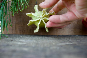 Sculpture for Wall or Table - Nature Inspired -Salt Fired Porcelain