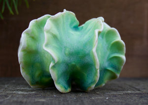 Sculpture for Wall or Table - Nature Inspired -Salt Fired Porcelain