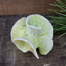 Load image into Gallery viewer, Sculpture for Shelf or Table - Nature Inspired -Salt Fired Porcelain