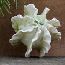 Load image into Gallery viewer, Sculpture for Wall or Table - Nature Inspired -Salt Fired Porcelain