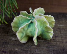Load image into Gallery viewer, Sculpture for Wall or Table - Nature Inspired -Salt Fired Porcelain