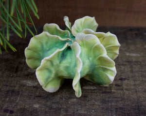 Sculpture for Wall or Table - Nature Inspired -Salt Fired Porcelain