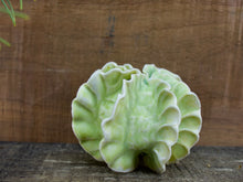 Load image into Gallery viewer, Sculpture for Wall or Table - Nature Inspired -Salt Fired Porcelain