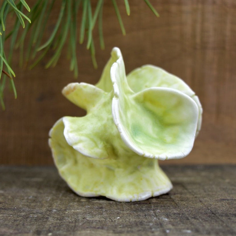 Sculpture for Shelf or Table - Nature Inspired -Salt Fired Porcelain