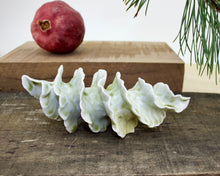 Load image into Gallery viewer, Natural Spiral - Porcelain Sculpture for Wall or Table - Salt Fired