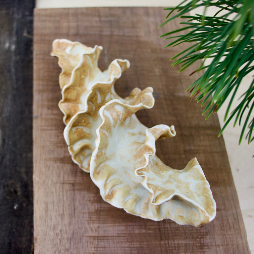 Natural Spiral - Porcelain Sculpture for Wall or Table - Salt Fired