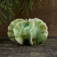 Load image into Gallery viewer, Sculpture for Wall or Table - Nature Inspired -Salt Fired Porcelain