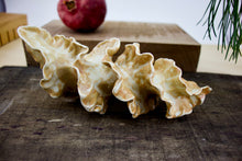 Load image into Gallery viewer, Natural Spiral - Porcelain Sculpture for Wall or Table - Salt Fired